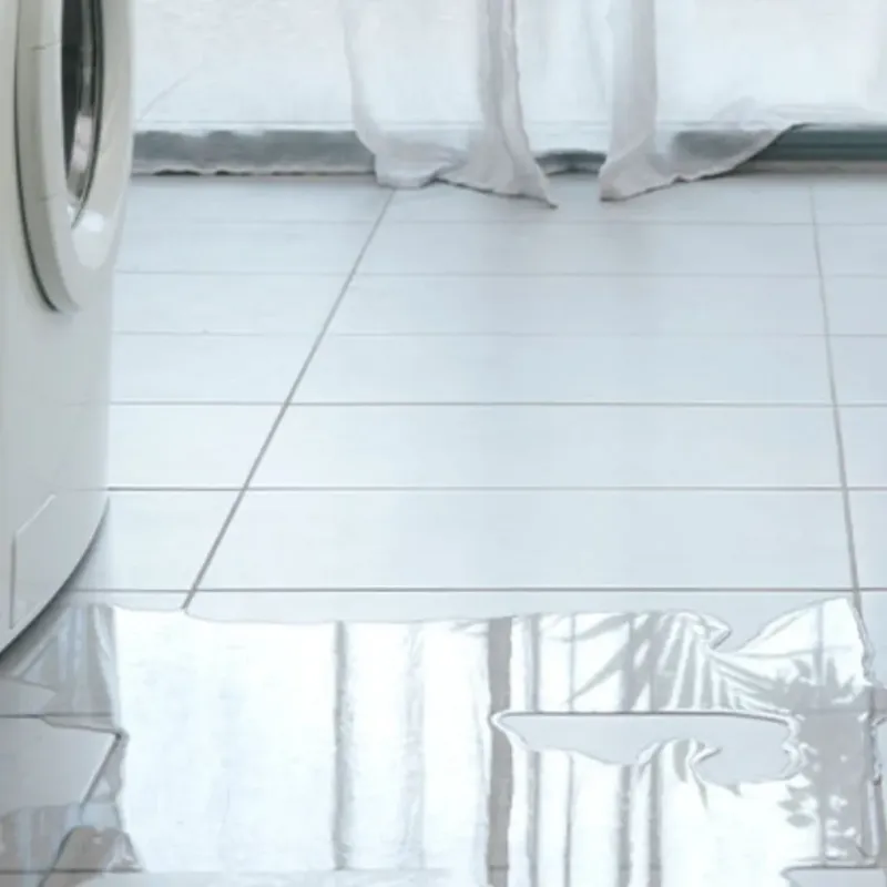 Appliance Leak Cleanup in Lebanon, IN