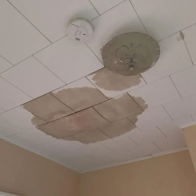 Ceiling Water Damage Repair in Lebanon, IN