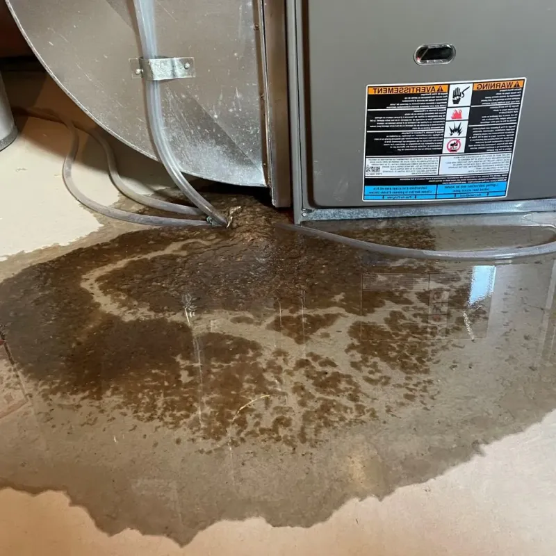Pipe Burst and Leak Restoration in Lebanon, IN